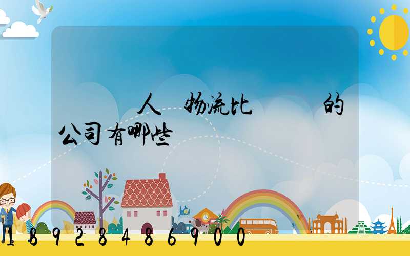 國內無人機物流比較專業的公司有哪些