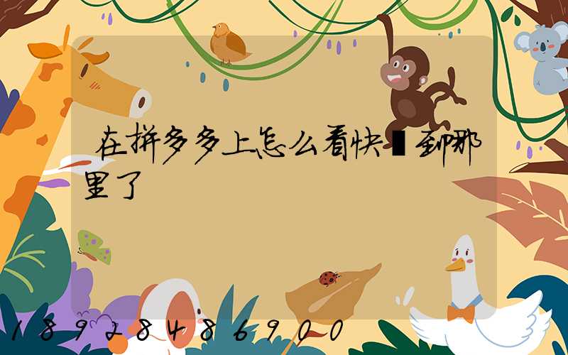 在拼多多上怎么看快遞到哪里了