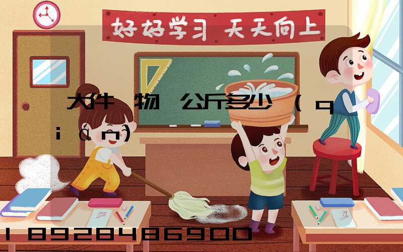 大件貨物一公斤多少錢(qián)