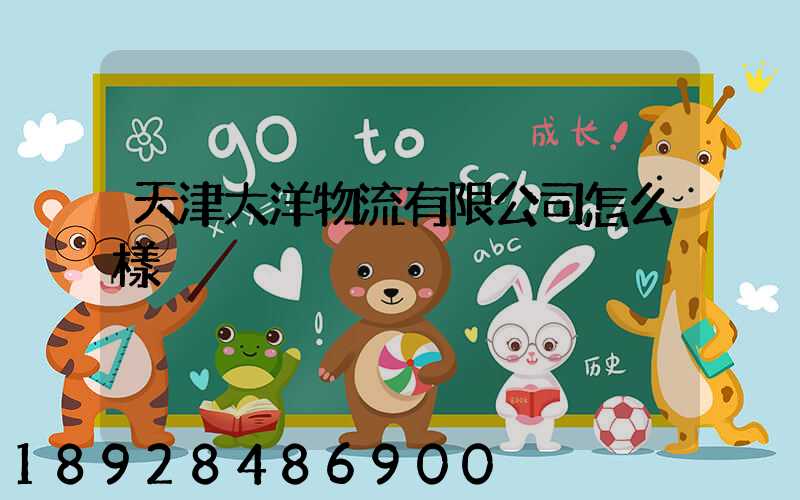 天津大洋物流有限公司怎么樣