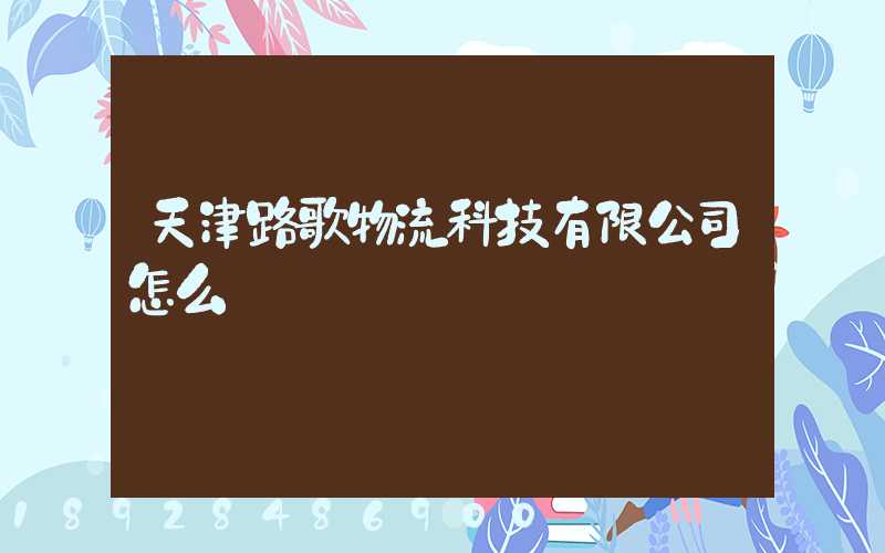 天津路歌物流科技有限公司怎么樣