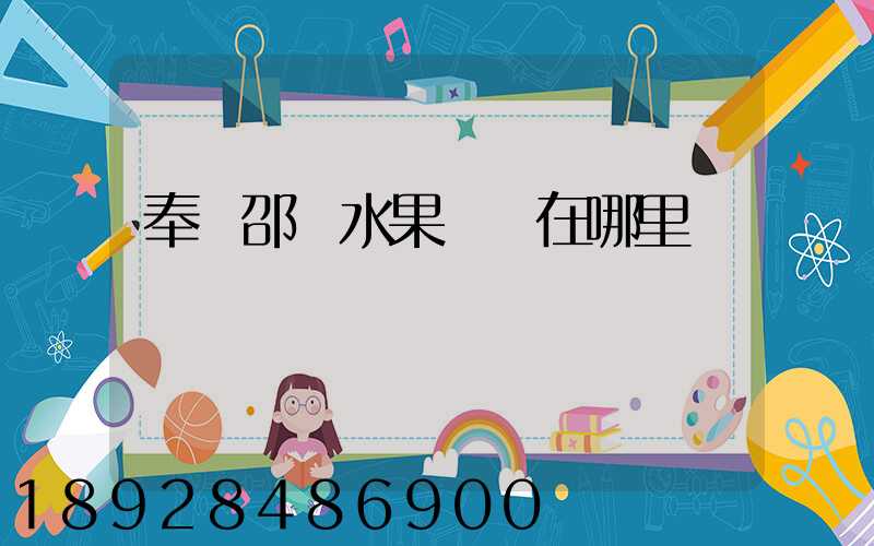 奉賢邵廠水果倉庫在哪里