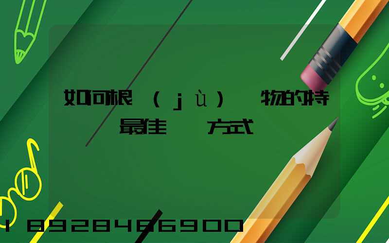 如何根據(jù)貨物的特點選擇最佳運輸方式