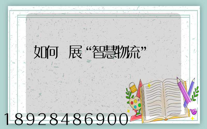 如何發展“智慧物流”