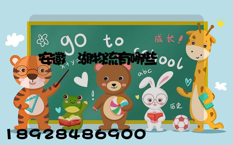 安徽蕪湖物流有哪些