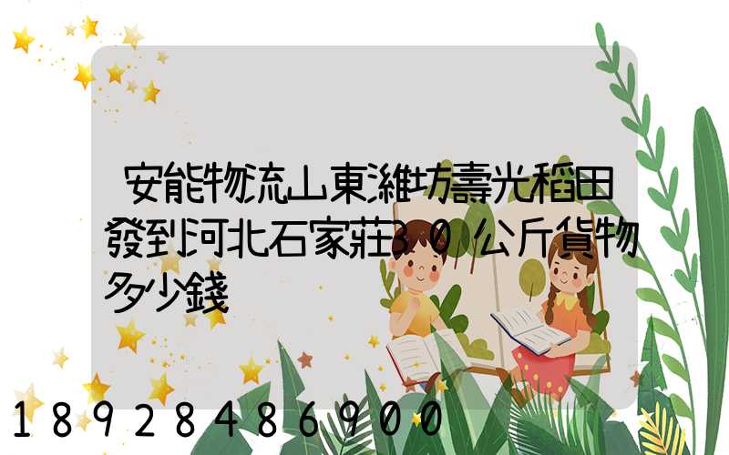 安能物流山東濰坊壽光稻田發到河北石家莊30公斤貨物多少錢