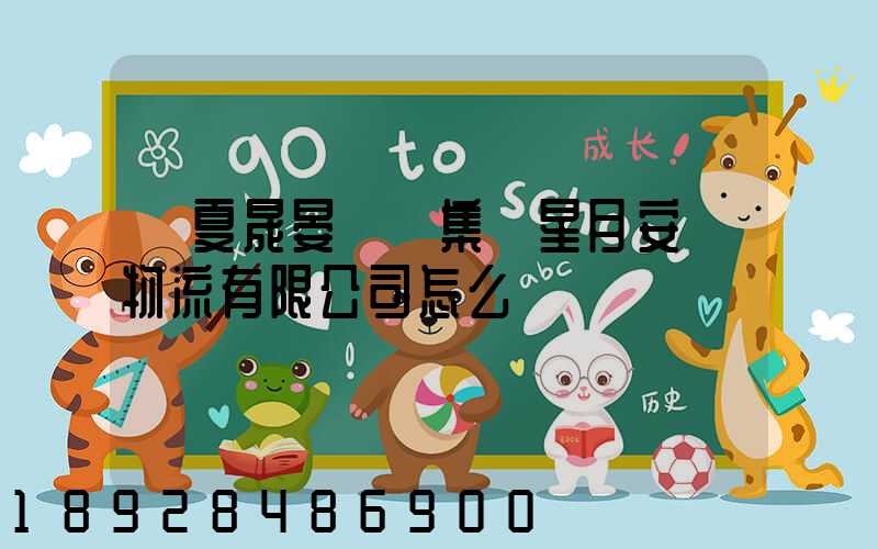 寧夏晟晏實業集團星月安順物流有限公司怎么樣