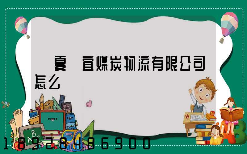 寧夏聯宜煤炭物流有限公司怎么樣