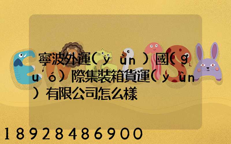 寧波外運(yùn)國(guó)際集裝箱貨運(yùn)有限公司怎么樣