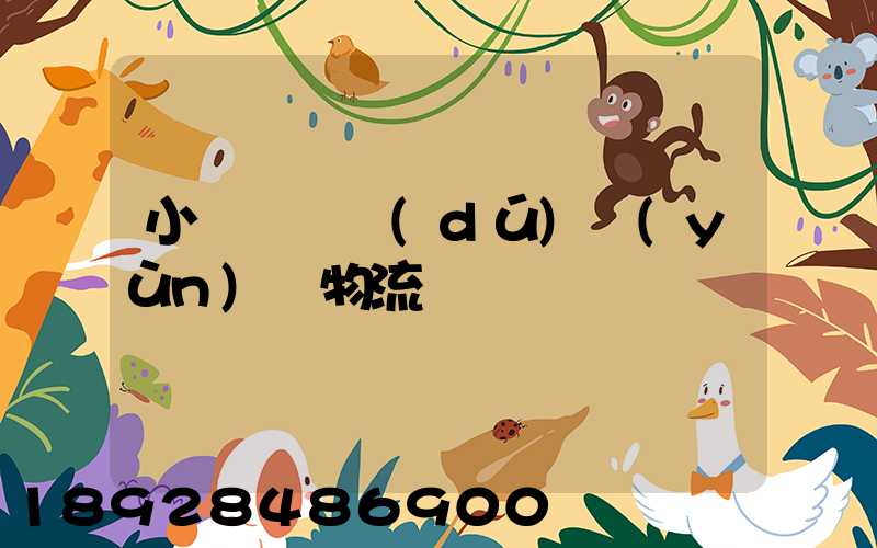 小貨車單獨(dú)運(yùn)輸物流