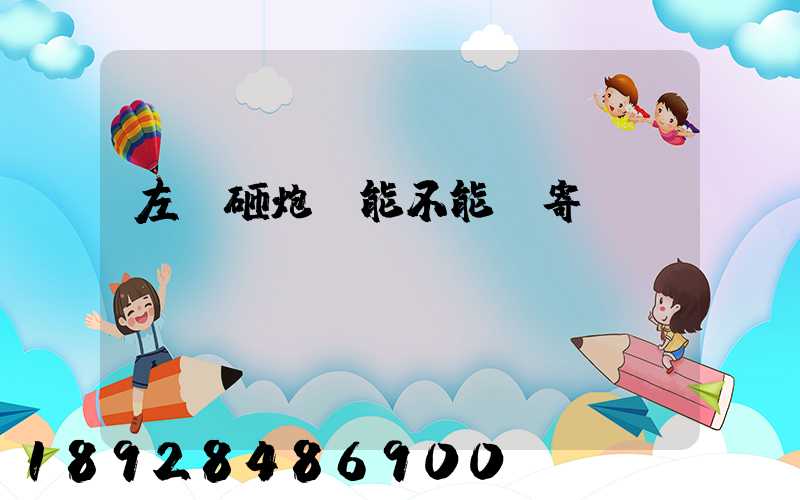 左輪砸炮槍能不能郵寄