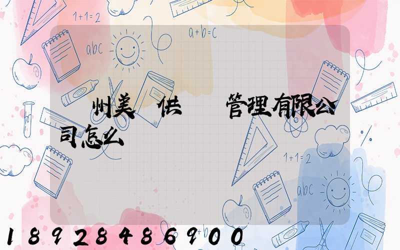 廣州美順供應鏈管理有限公司怎么樣