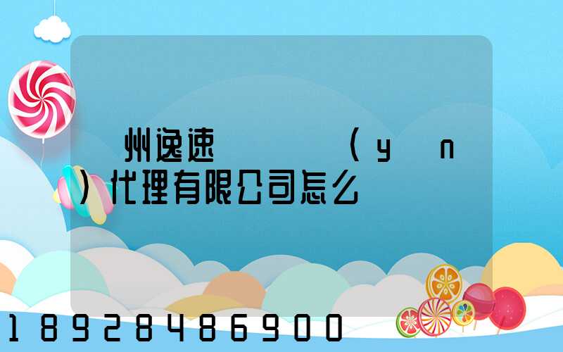 廣州逸速國際貨運(yùn)代理有限公司怎么樣