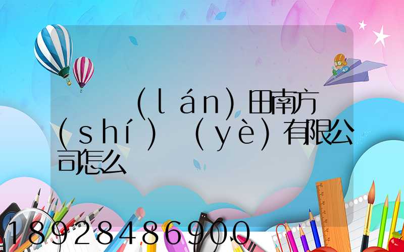 廣東藍(lán)田南方實(shí)業(yè)有限公司怎么樣