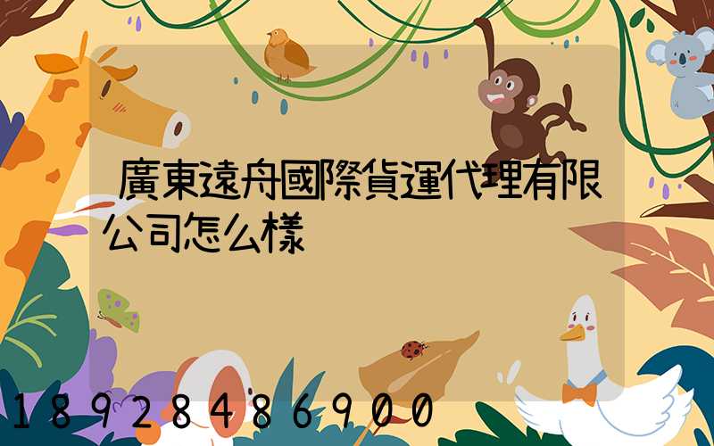 廣東遠舟國際貨運代理有限公司怎么樣