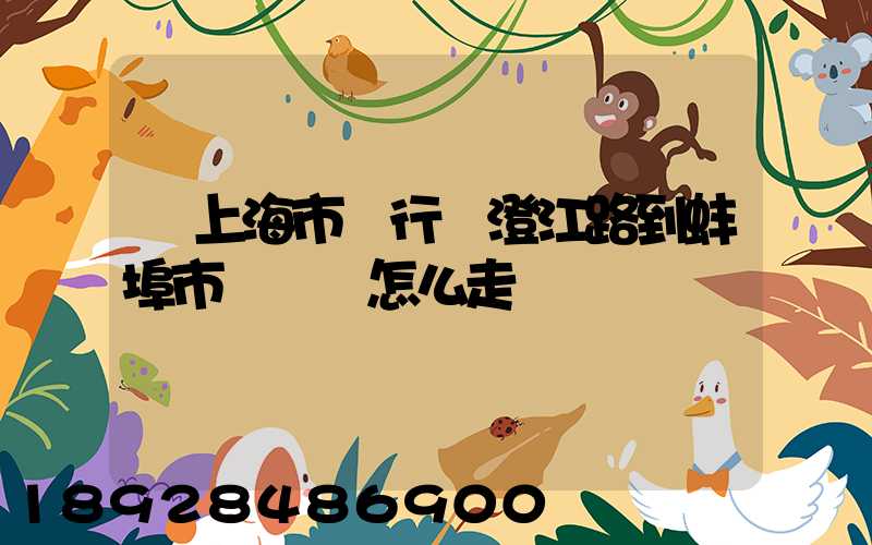 從上海市閔行區澄江路到蚌埠市懷遠縣怎么走