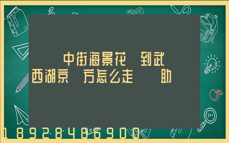 從吳中街海景花園到武漢東西湖京東方怎么走請幫助