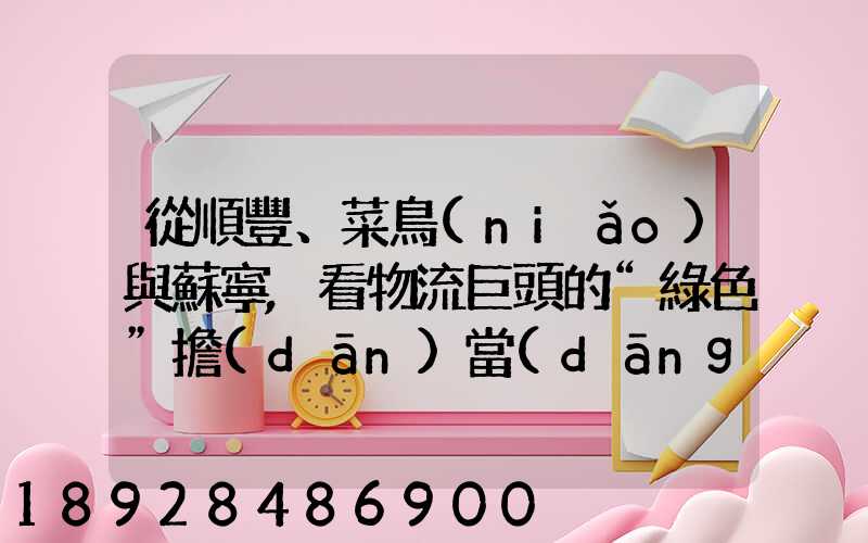 從順豐、菜鳥(niǎo)與蘇寧,看物流巨頭的“綠色”擔(dān)當(dāng)