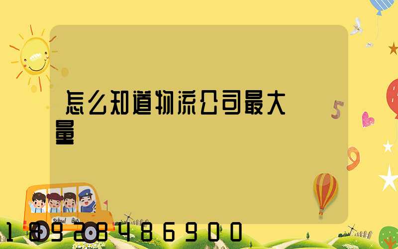 怎么知道物流公司最大貨運量