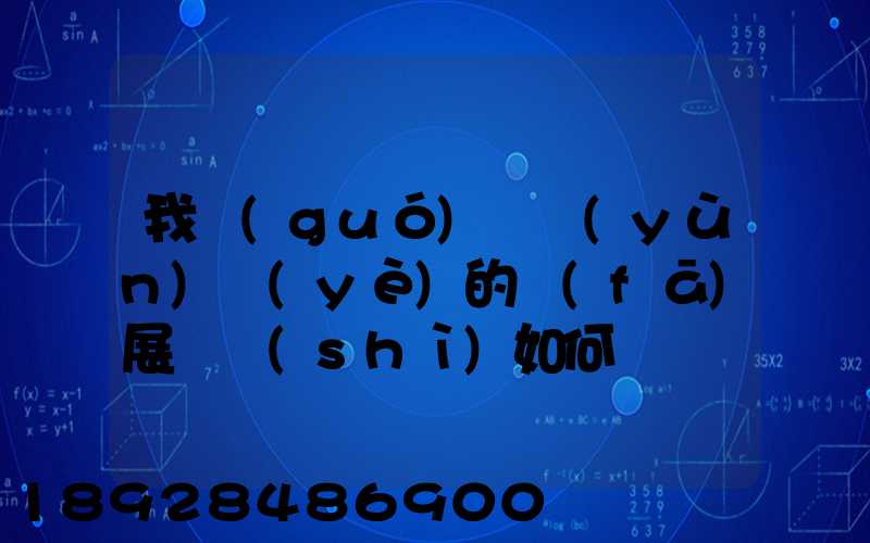 我國(guó)貨運(yùn)業(yè)的發(fā)展趨勢(shì)如何