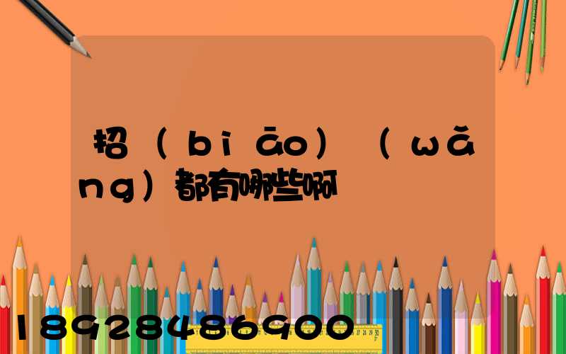 招標(biāo)網(wǎng)都有哪些啊