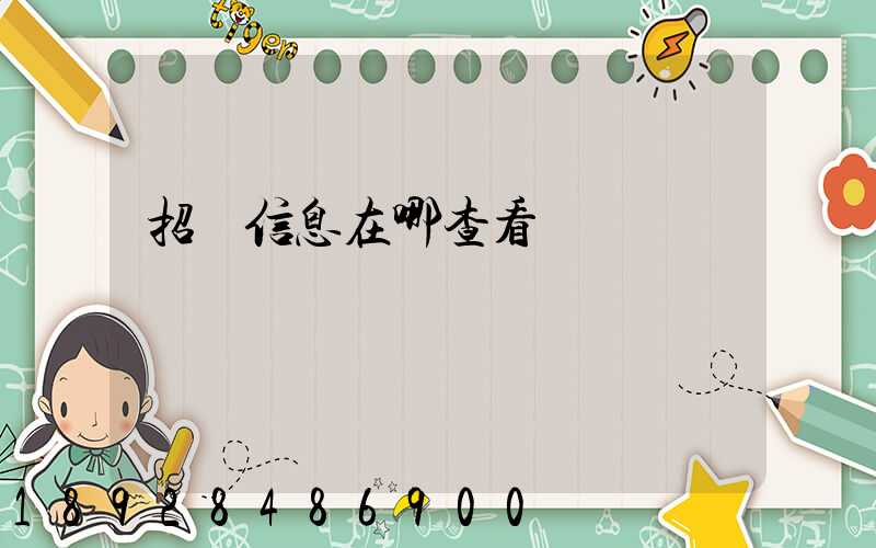 招標信息在哪查看