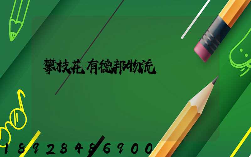 攀枝花有德邦物流嗎