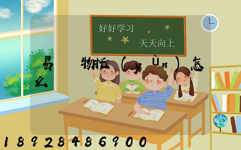 易豐寵物托運(yùn)怎么樣