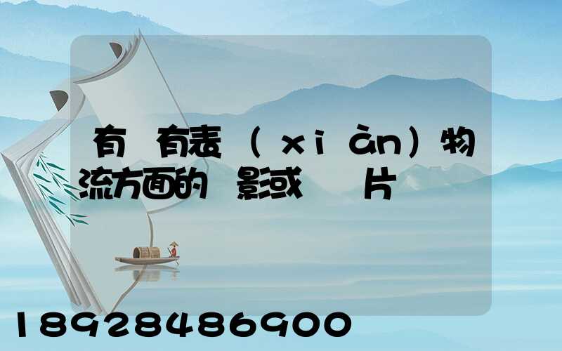 有沒有表現(xiàn)物流方面的電影或紀錄片