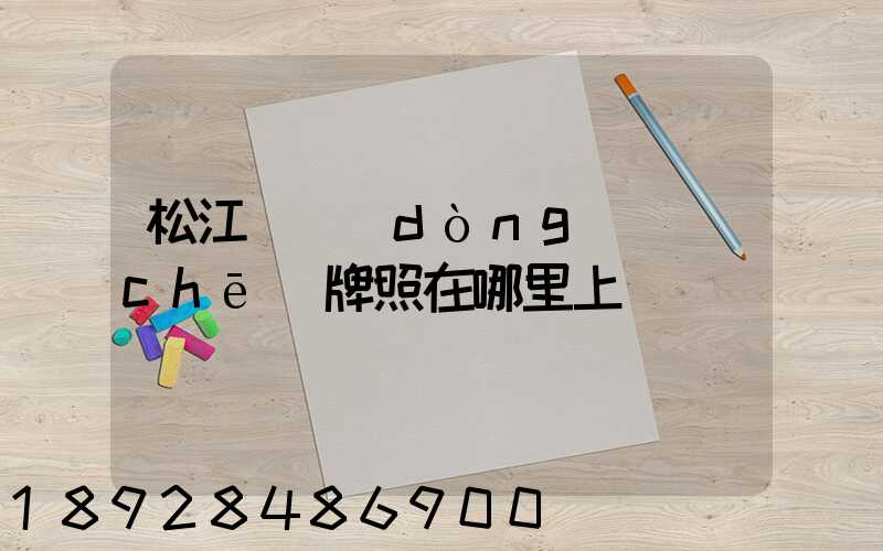 松江電動(dòng)車(chē)牌照在哪里上