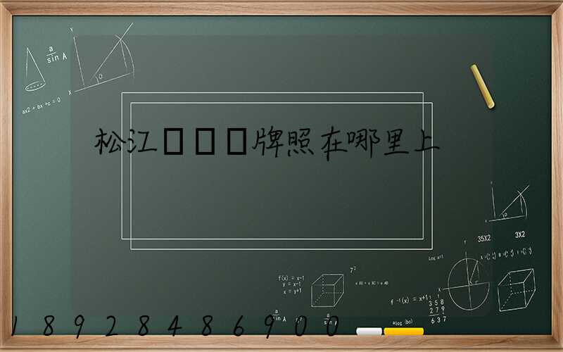 松江電動車牌照在哪里上