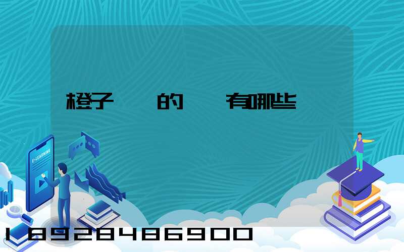 橙子運輸的優勢有哪些