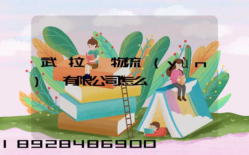 武漢拉貨幫物流運(yùn)輸有限公司怎么樣