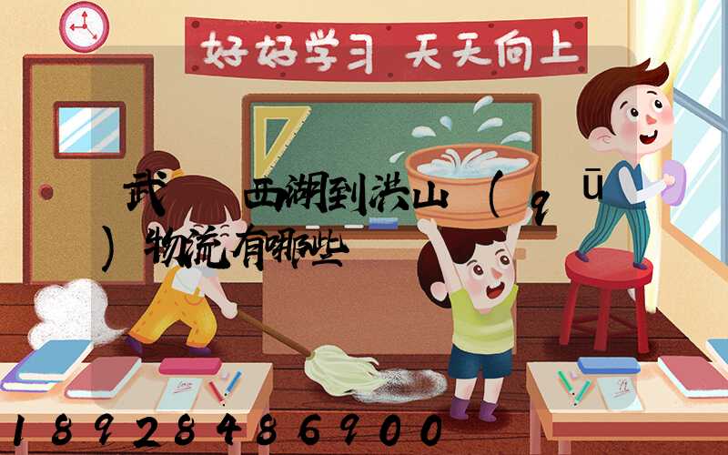 武漢東西湖到洪山區(qū)物流有哪些