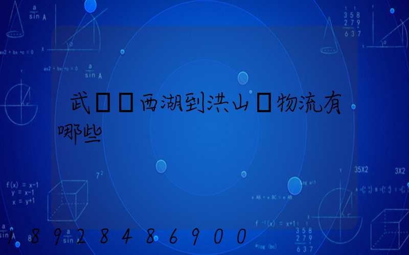 武漢東西湖到洪山區物流有哪些