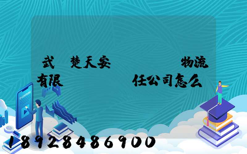 武漢楚天安達(dá)物流有限責(zé)任公司怎么樣