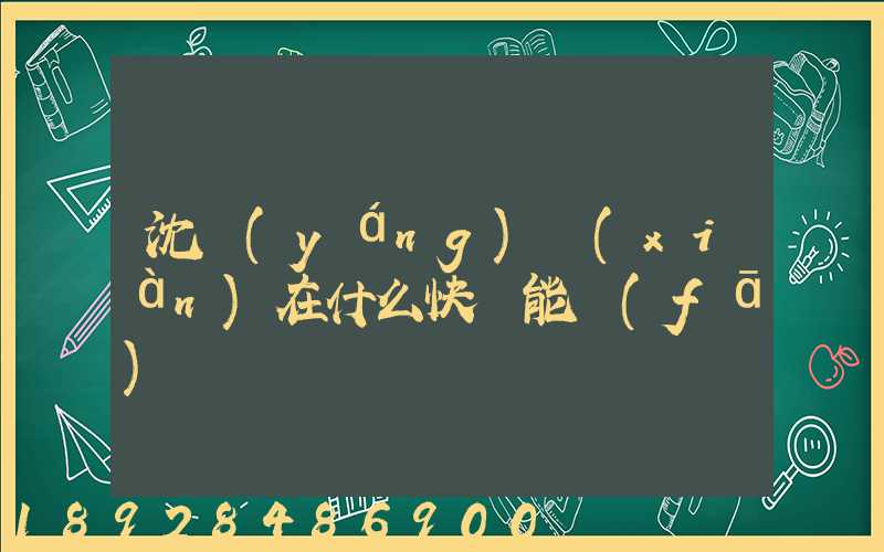 沈陽(yáng)現(xiàn)在什么快遞能發(fā)