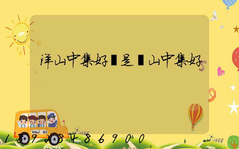 洋山中集好還是寶山中集好