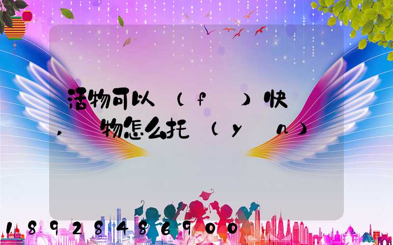 活物可以發(fā)快遞嗎,寵物怎么托運(yùn)