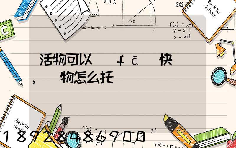 活物可以發(fā)快遞嗎,寵物怎么托運