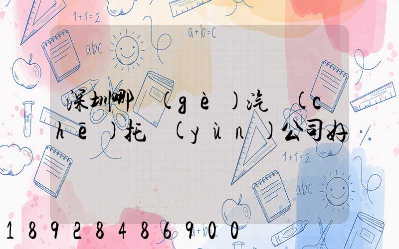 深圳哪個(gè)汽車(chē)托運(yùn)公司好