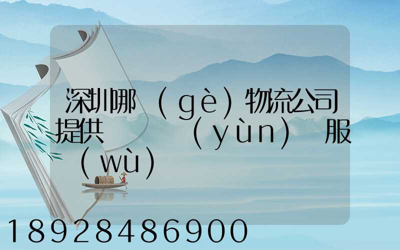 深圳哪個(gè)物流公司提供氣墊車運(yùn)輸服務(wù)