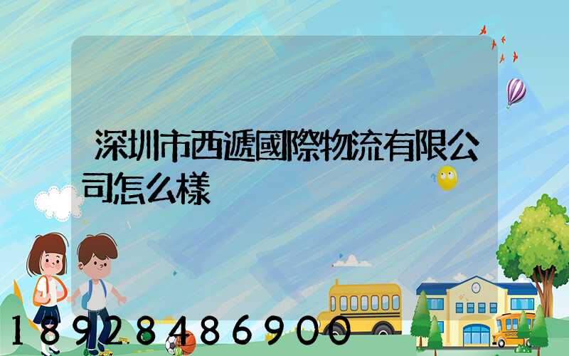 深圳市西遞國際物流有限公司怎么樣