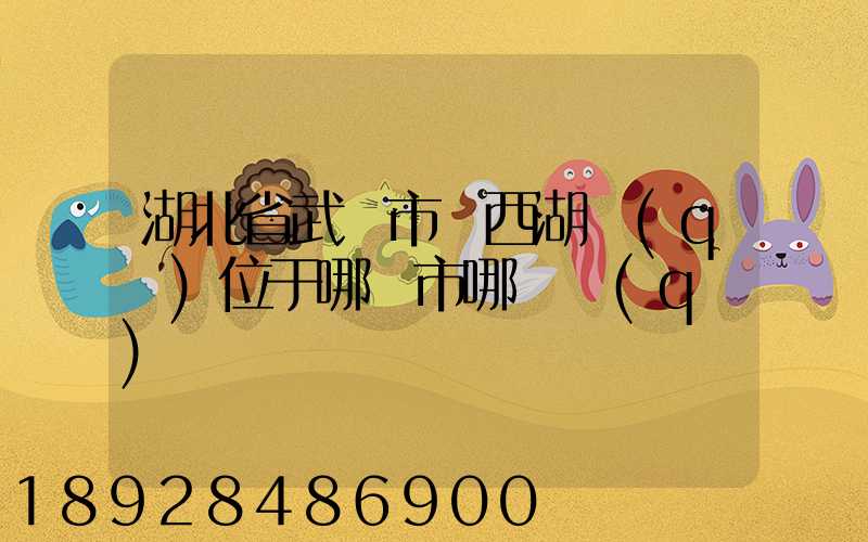 湖北省武漢市東西湖區(qū)位于哪個市哪個區(qū)
