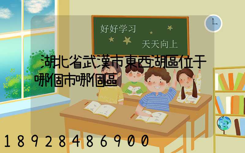 湖北省武漢市東西湖區位于哪個市哪個區