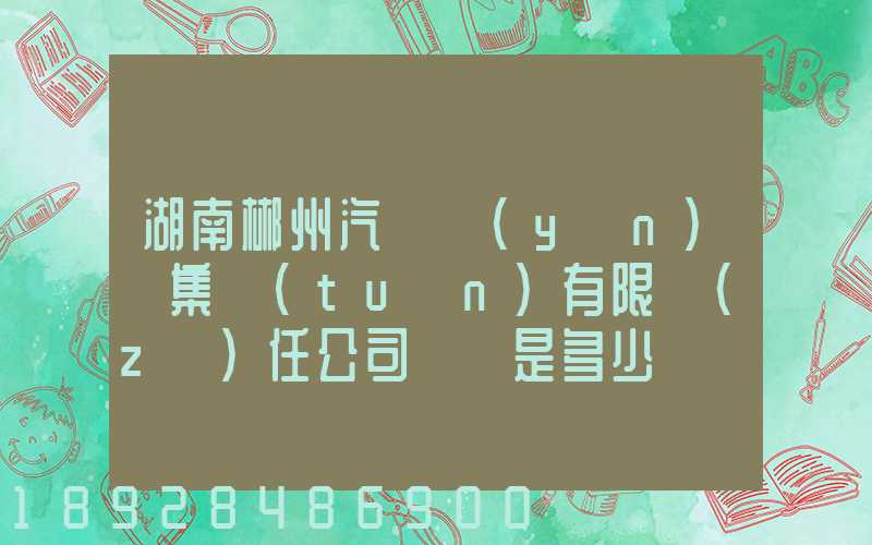 湖南郴州汽車運(yùn)輸集團(tuán)有限責(zé)任公司電話是多少