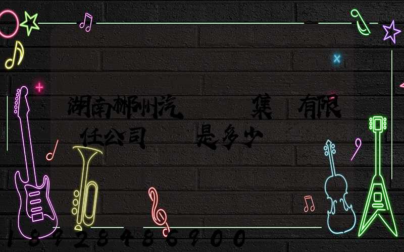 湖南郴州汽車運輸集團有限責任公司電話是多少