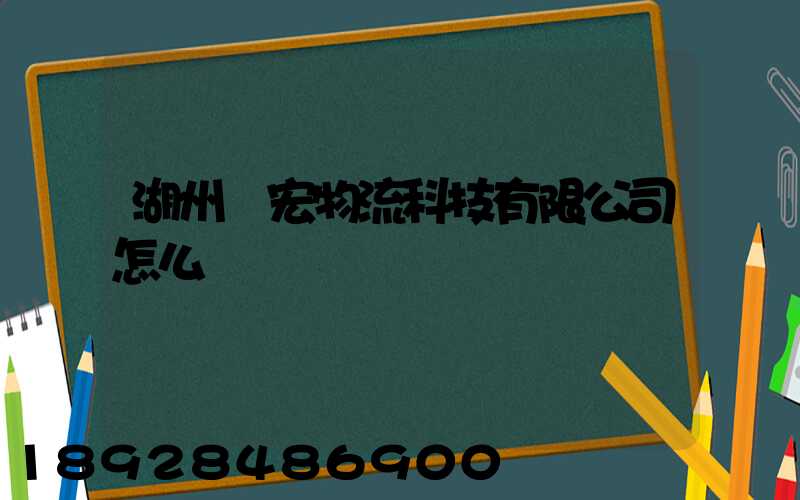 湖州賽宏物流科技有限公司怎么樣