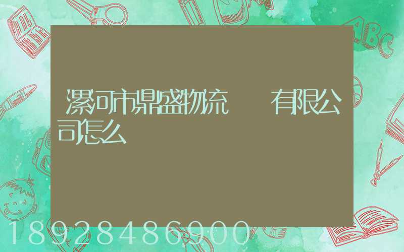漯河市鼎盛物流運輸有限公司怎么樣