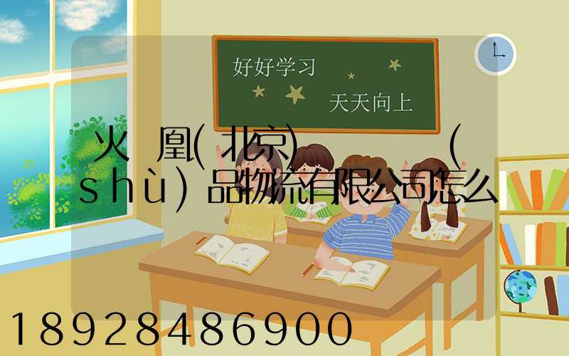 火鳳凰(北京)國際藝術(shù)品物流有限公司怎么樣